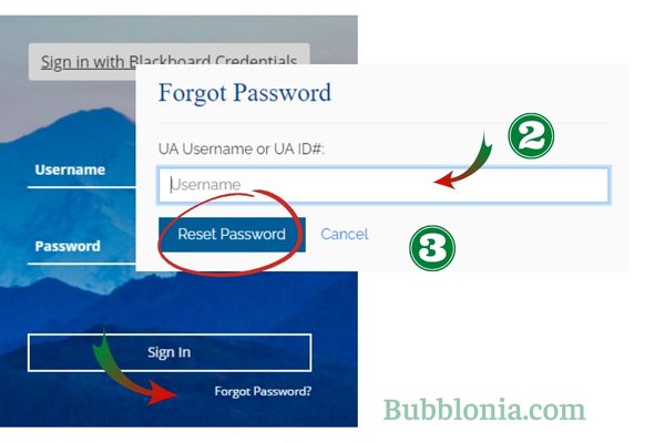 Blackboard UAF Password Reset Procedure