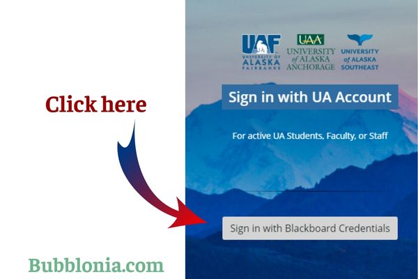 UAF Blackboard Login, Online Course Student Account on the website with email