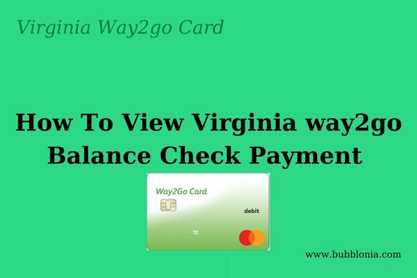 How To View Virginia way2go Balance Check Payment 
